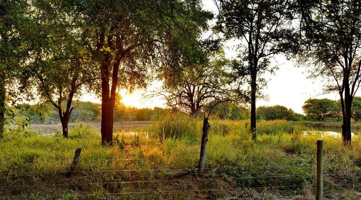 Black Rhino Game Lodge