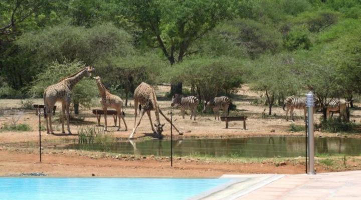 Thandolwami Bushlodge