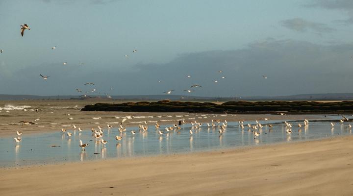 Sensiri Orca Beach House