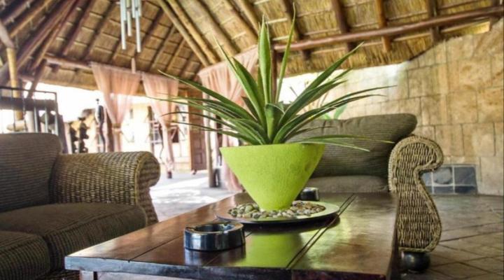 Summer Garden Guest House (The Palms)