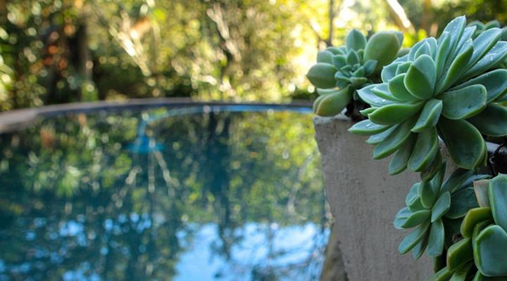 Treehouse River Lodge