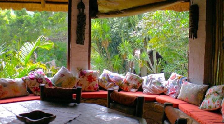 Treehouse River Lodge