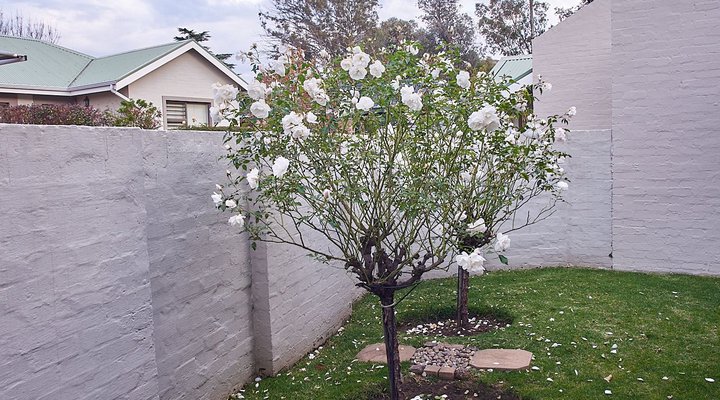 2 The Mews, Clarens