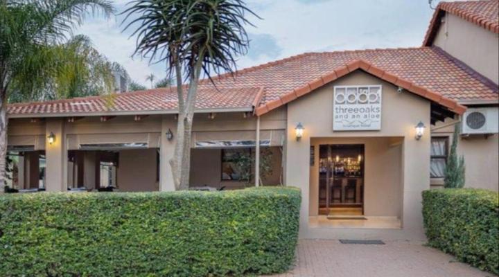 Three Oaks and an Aloe