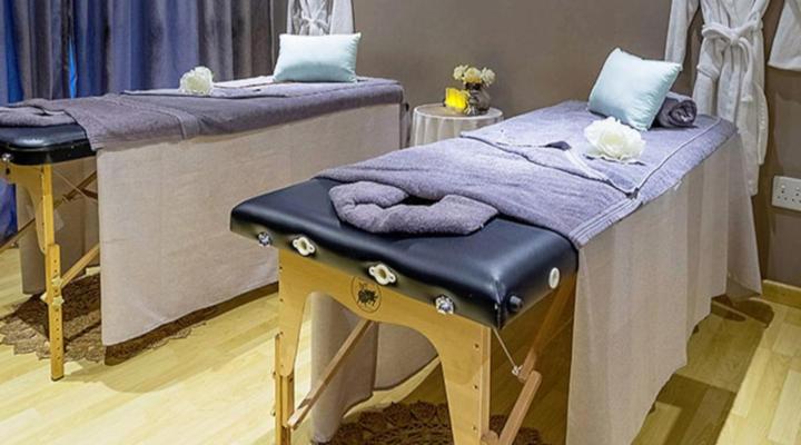 Three Oaks and an Aloe