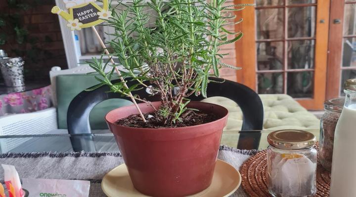 Milk and Honey self-catering Guesthouse