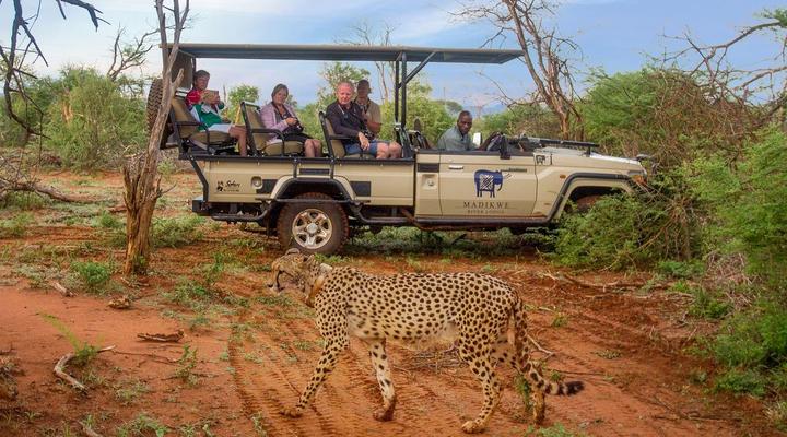 Madikwe River Lodge by Dream Resorts