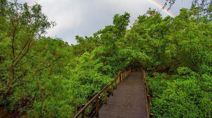 Madikwe River Lodge by Dream Resorts