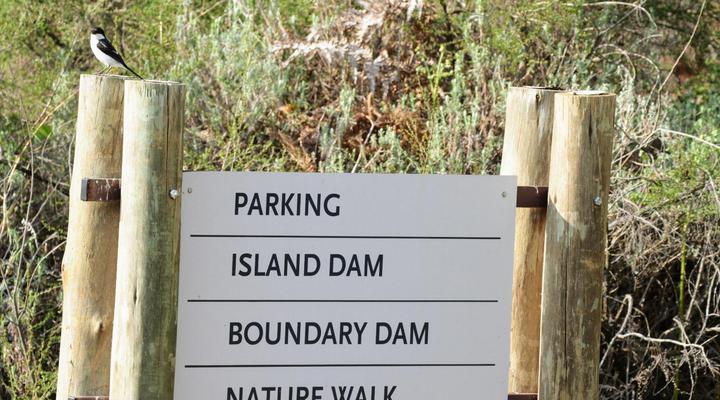 Trout and Nature Haven, Walkersons