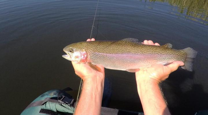 Trout and Nature Haven, Walkersons