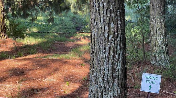 Trout and Nature Haven, Walkersons