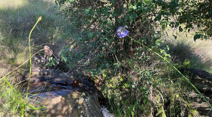 Trout and Nature Haven, Walkersons