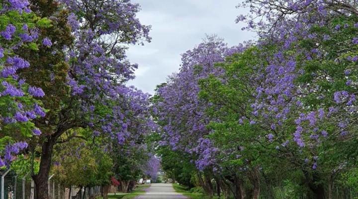 Bedford Country Escapes