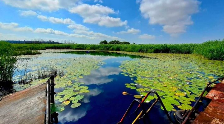 Evergreen River Guest Farm, Groot Marico