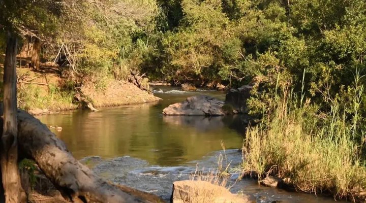 Evergreen River Guest Farm, Groot Marico