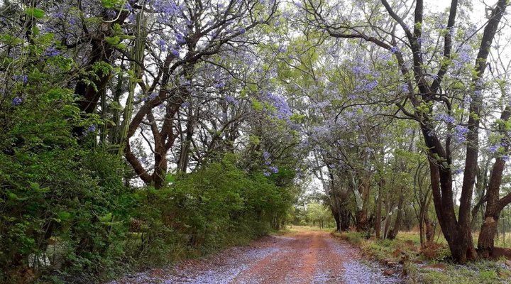 Evergreen River Guest Farm, Groot Marico