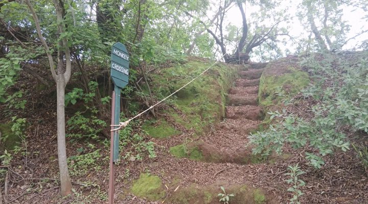 Evergreen River Guest Farm, Groot Marico