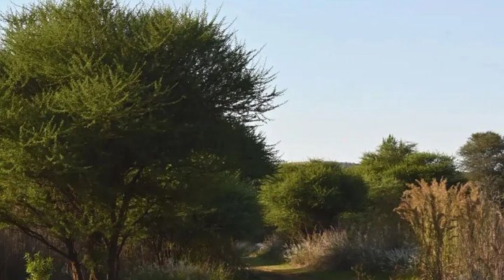 Evergreen River Guest Farm, Groot Marico
