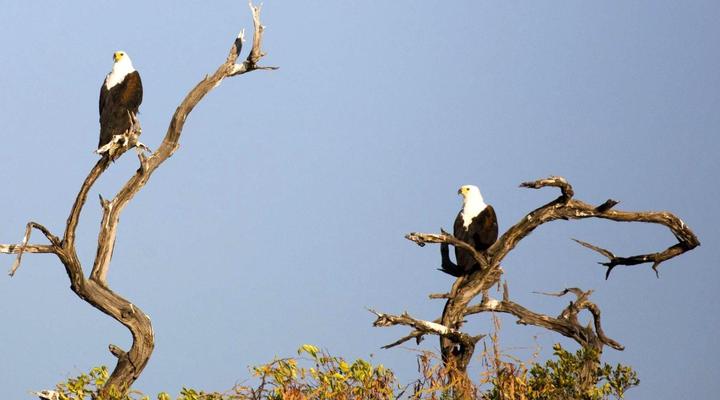 Hakusembe River Lodge Camping, Caprivi, Namibia