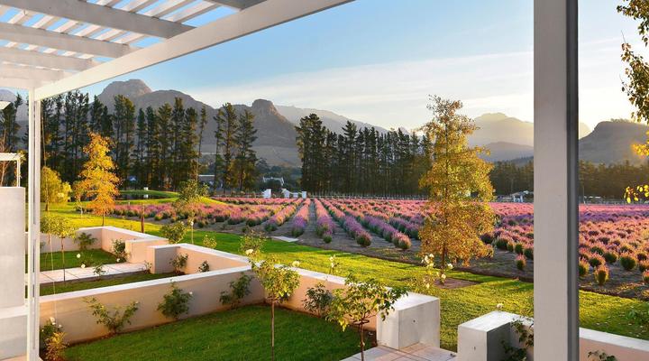 Lavender Farm Guest House