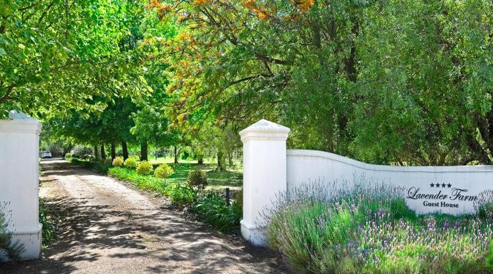 Lavender Farm Guest House