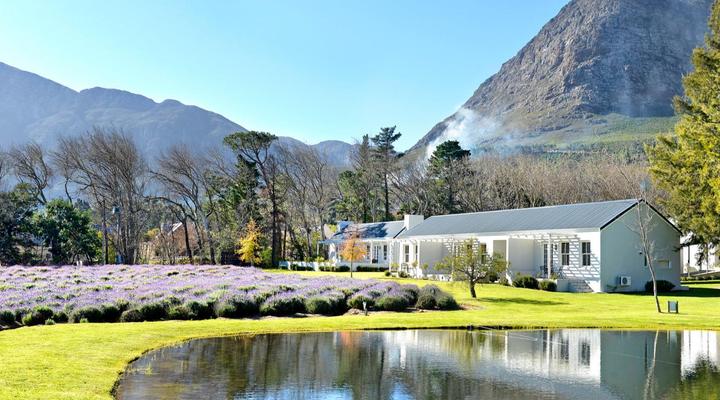 Lavender Farm Guest House