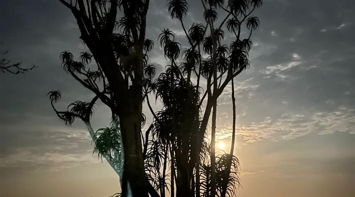 St Lucia Holiday Cottage