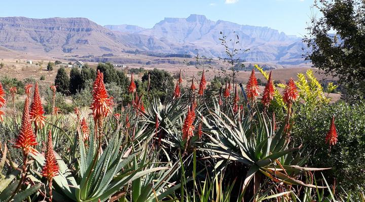 Ama Casa Self-catering Cottages