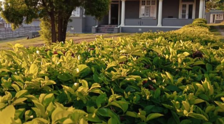 Capital on French Guesthouse