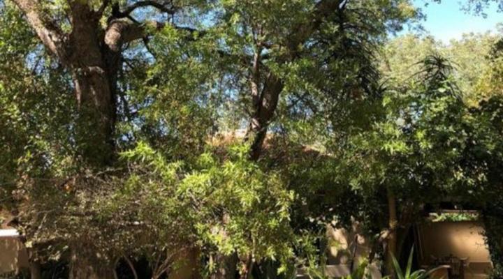 Mosate Lephalale Guest House