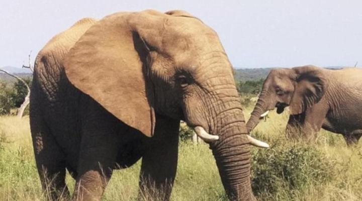 Ka Kokwana Guest House