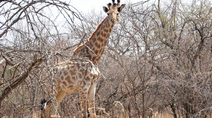 Mokuru Private Nature Reserve