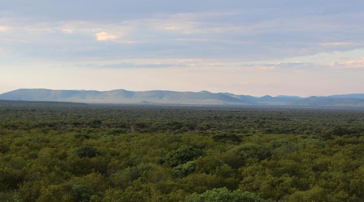 Mokuru Private Nature Reserve
