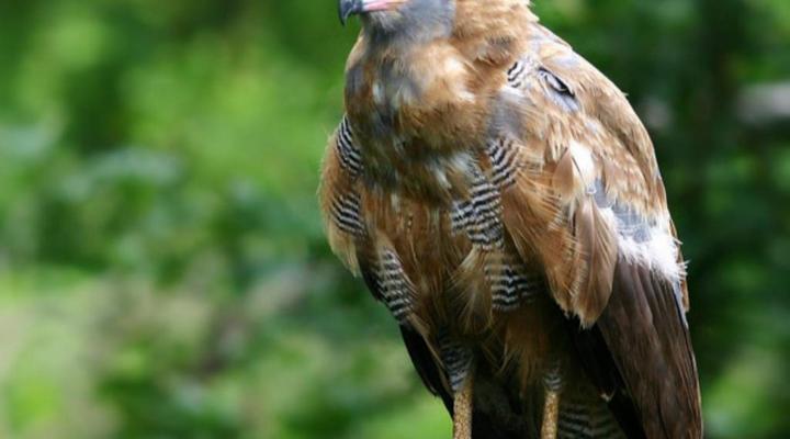 Mokuru Private Nature Reserve