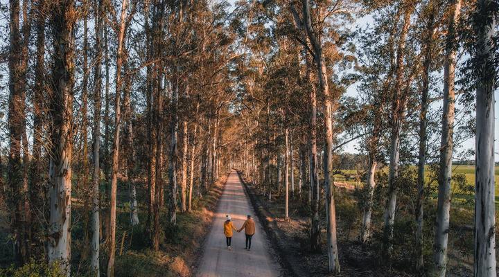Oakhurst Farm Cottages