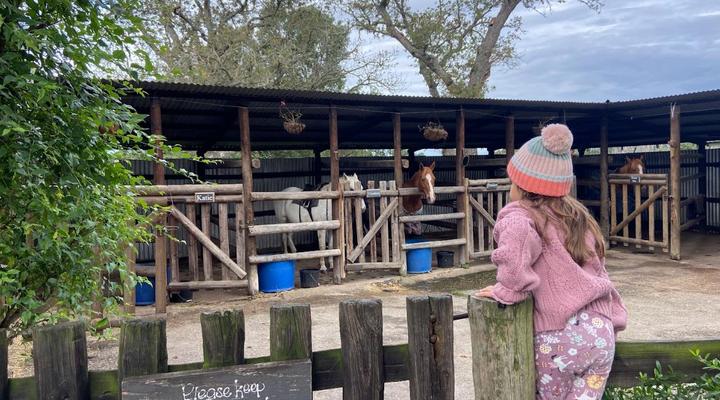 Oakhurst Farm Cottages