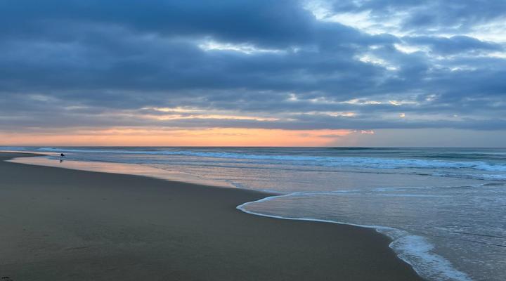 Whalesong Guest House