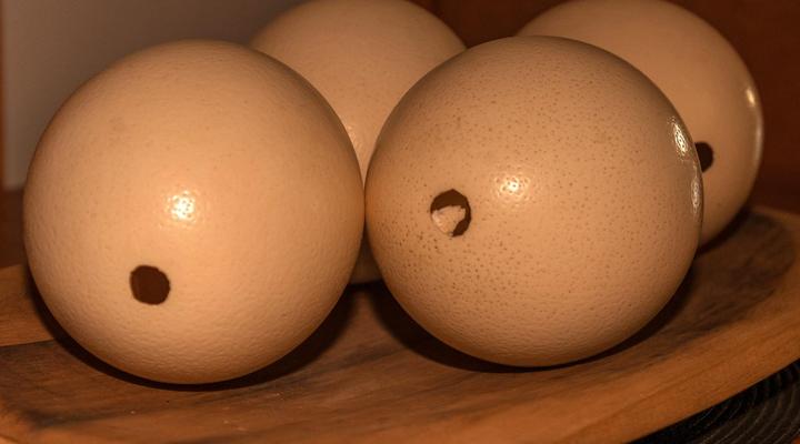 Donsveertjie Gasteplaas & Venue