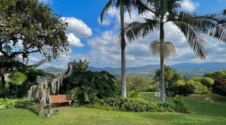 Loerieroep at Nelspruit