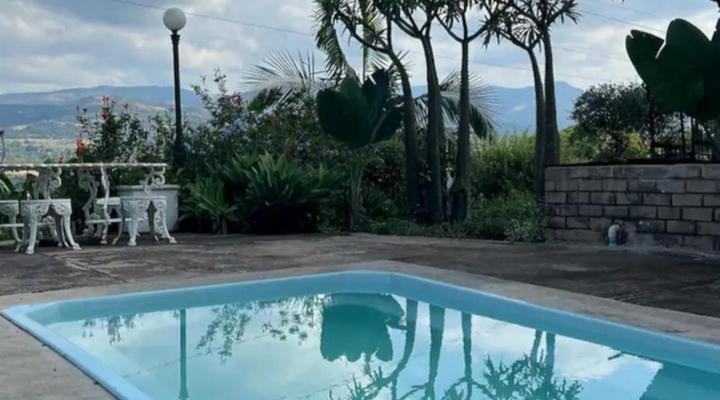 Loerieroep at Nelspruit