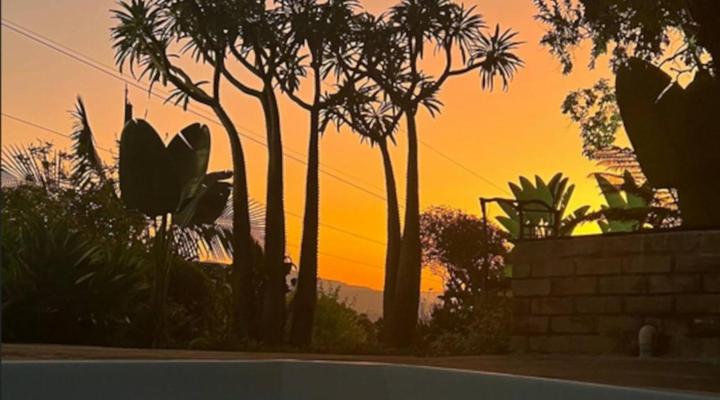 Loerieroep at Nelspruit