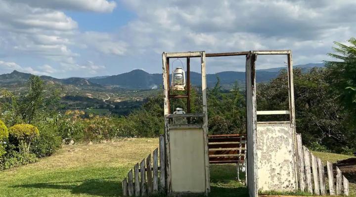 Loerieroep at Nelspruit