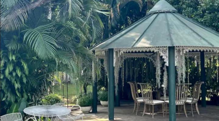 Loerieroep at Nelspruit