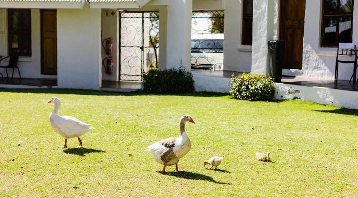 Mont d’Or Monte Bello Estate