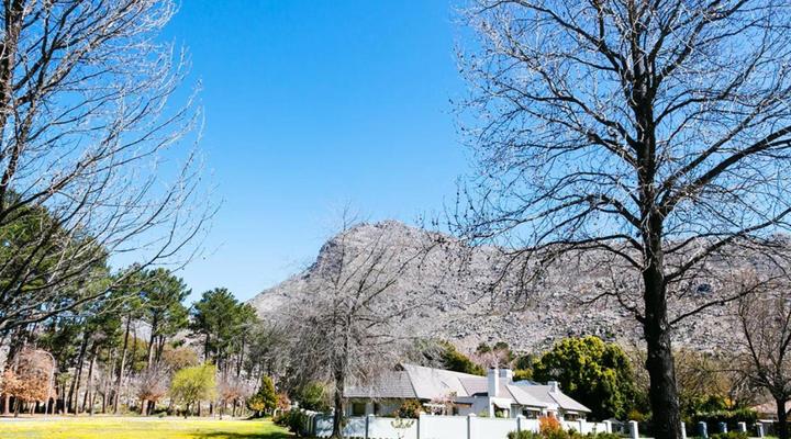 Cherry Blossom Cottage