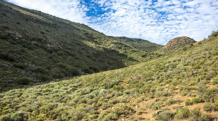 Tibani Nature Reserve