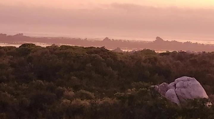 Beachfront Rocky Pools