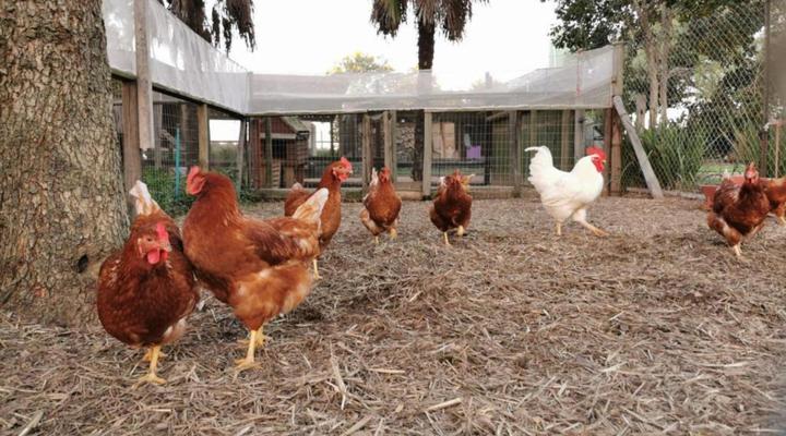 Alimandi Nursery Cottage