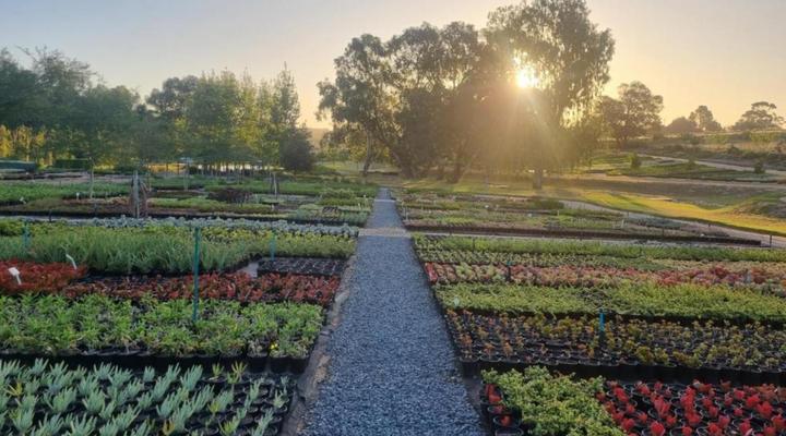 Alimandi Nursery Cottage