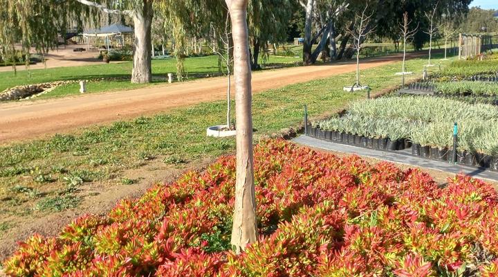 Alimandi Nursery Cottage